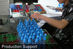 Raytech Corporation Production Support
